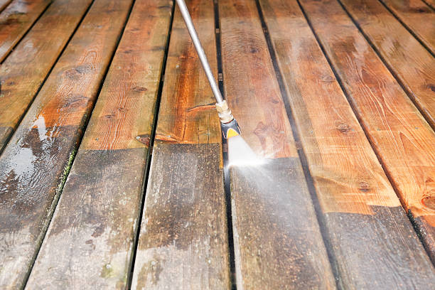 Best Dumpster Area Cleaning  in Catasauqua, PA